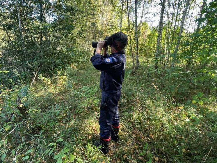 Спасатели эвакуировали грибника с травмированной ногой в Подмосковье