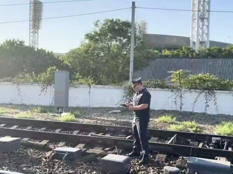 15-летний парень совершил поджог объектов ж/д по заданию украинских спецслужб