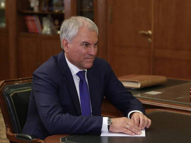 Володин поддержал идею Кубани расширить полномочия регионов в ограничении труда мигрантов