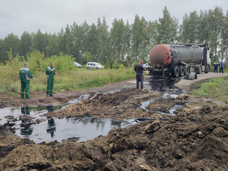 Экологическое ЧП произошло в Нижегородской области
