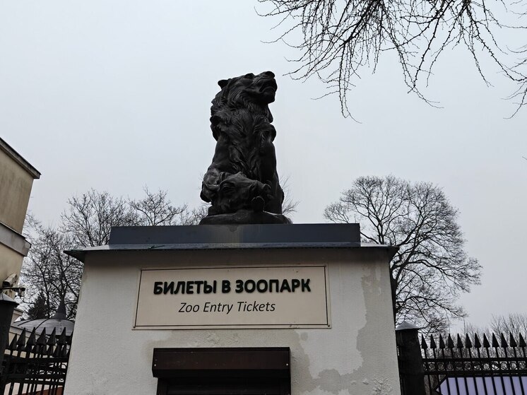 В Калининградском зоопарке планируют очистить мозаичное панно
