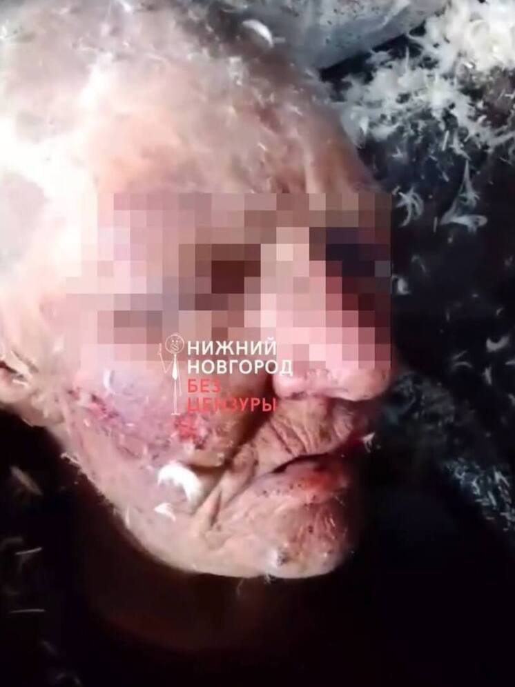 Глава Городецкого округа высказался о жуткой истории с пенсионеркой