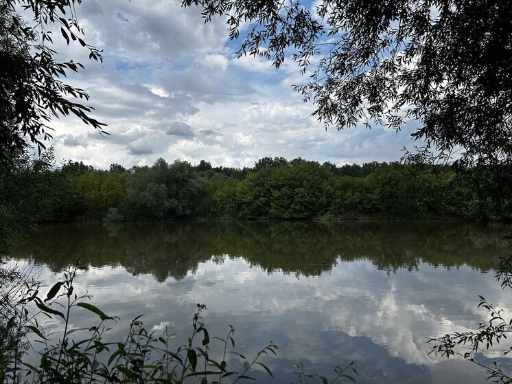 В Белгородской области во время купального сезона утонули 9 человек