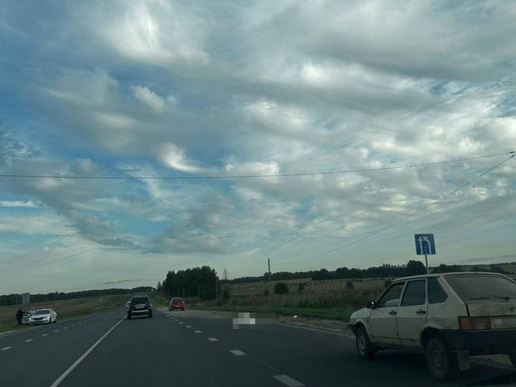 На трассе под Рязанью водитель легковушки сбил телёнка