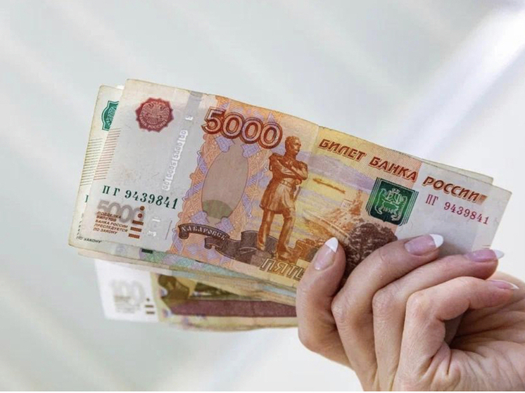 Новосибирские предприниматели активно инвестируют в развитие брендов