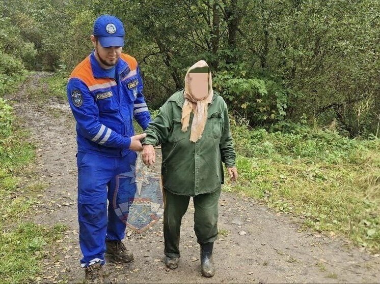Спасатели вывели пожилую женщину из леса в Гатчинском районе