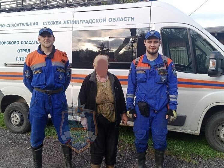 В Гатчинском районе женщина гуляла в лесу и заблудилась