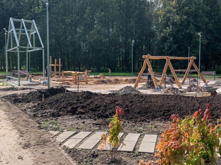 В Старой Руссе благоустроят левый берег Полисти и установят оранжерею
