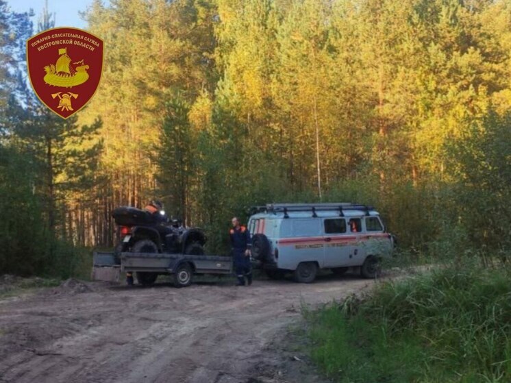 Костромские спасения: сотрудники ПСО№1 вывели из леса потерявшегося грибника