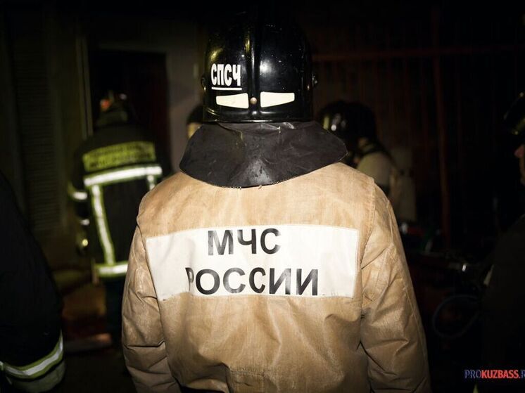 В Кузбассе сосед отомстил поджогом: сгорели десятки животных и техника