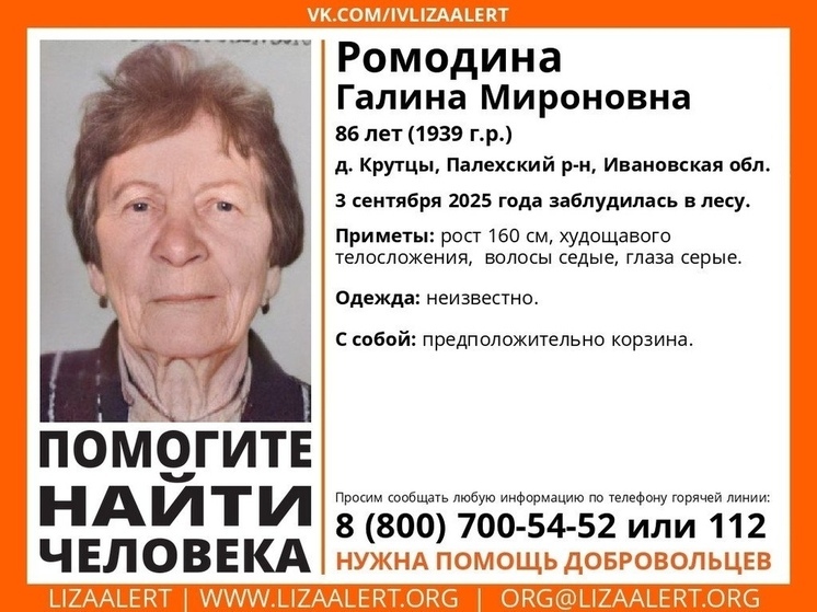 Пожилые мужчина и женщина двое суток ждут помощи в лесах Ивановской области