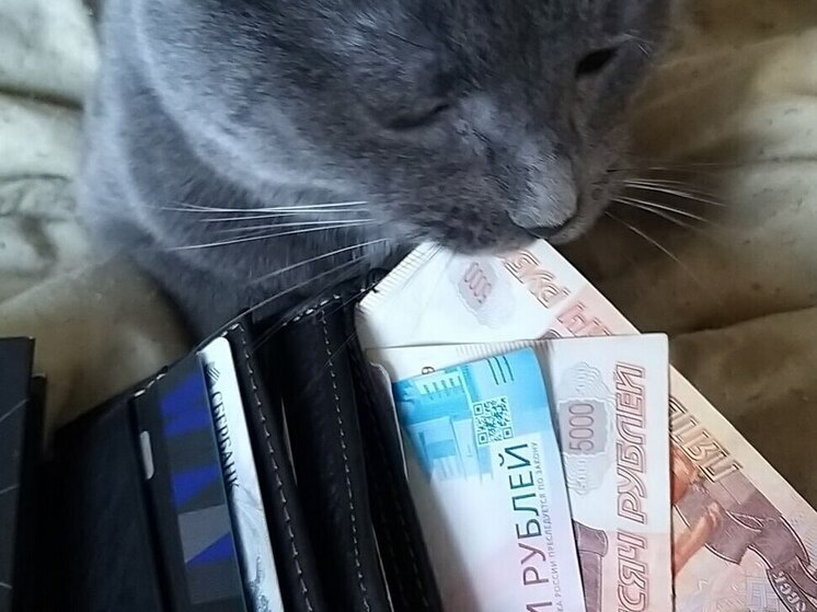 Боровичанин остался недоволен зарплатой и убил работодателя