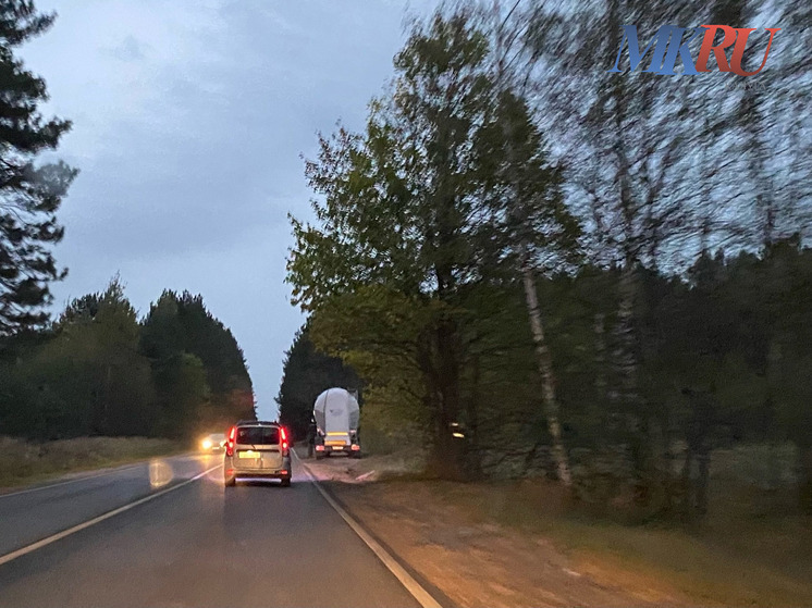 Калужанам советуют избегать походов в лес