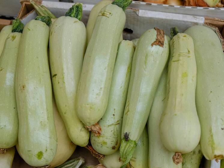 Волгоградцам назвали продукт для осеннего детокса