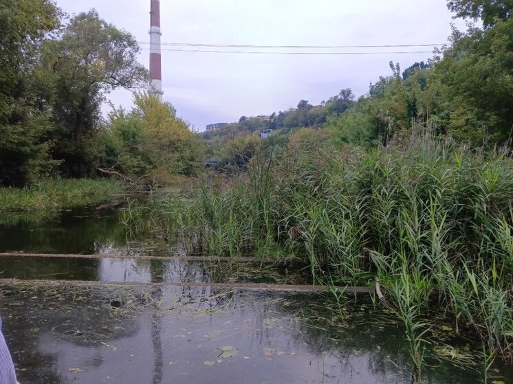 В Курское водохранилище, Тускарь и Сейм хотят выпустить молодую рыбу