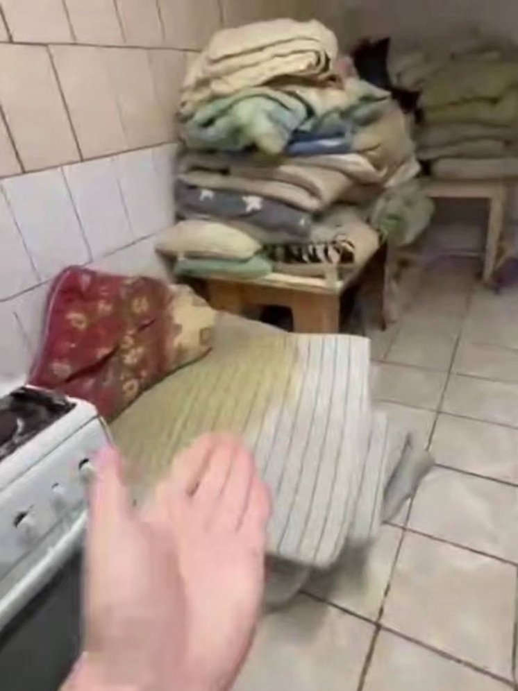 Студентки костромской сельхозакадемии попали в общество клопов и тараканов