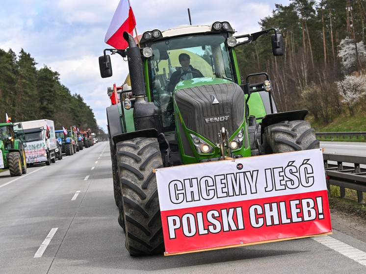 EADaily: в Польше сравнили сделку ЕК по сельхозпродукции с «Северным потоком»