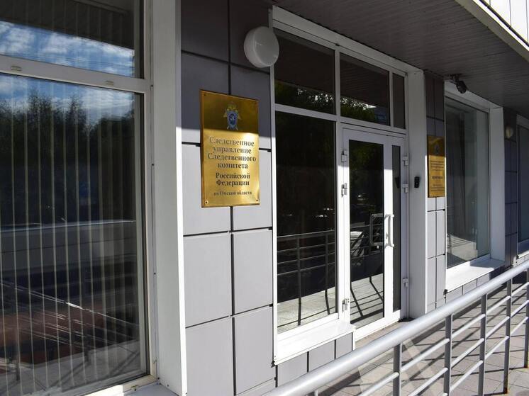 В Омске возбуждено уголовное дело по факту похищения ребёнка