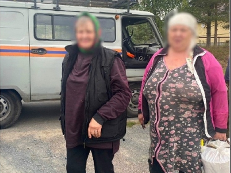 Две пожилых женщины заблудились в районе Карелии и целую ночь бродили по лесу