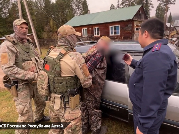 На Алтае мужчина получил условный срок за посты о Холокосте и боеприпасы