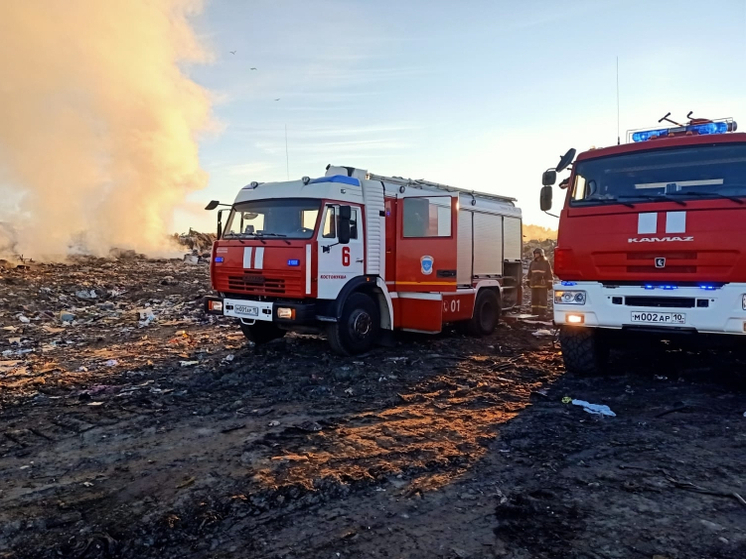 Опубликованы фото с пожара на свалке у Костомукши