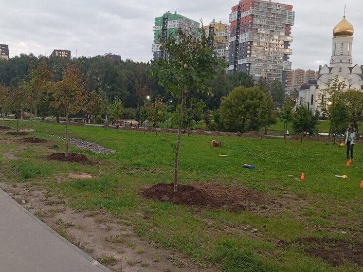 В парке «Оккервиль» начали высаживать яблони, черемухи, дубы и ели