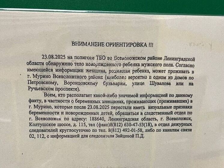 В парадных в Мурино появились ориентировки на мать, бросившую младенца на свалке