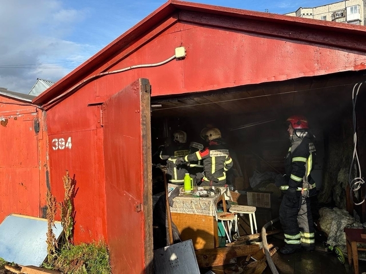 Пожарные оперативно справились с пожаром в гараже на улице Сафонова в Мурманске
