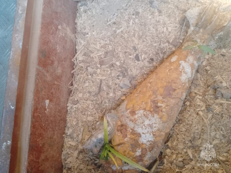 В калужской деревне нашли мину