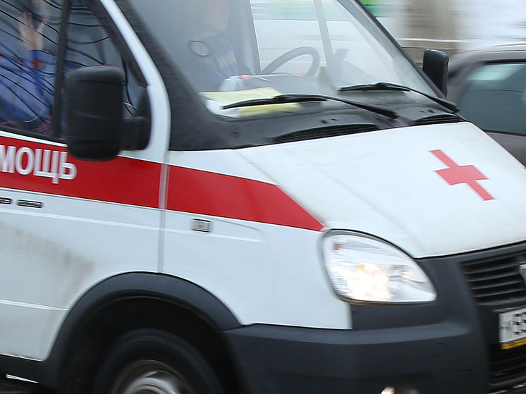 Восемь человек скончались в Новосибирской области от укусов клещей