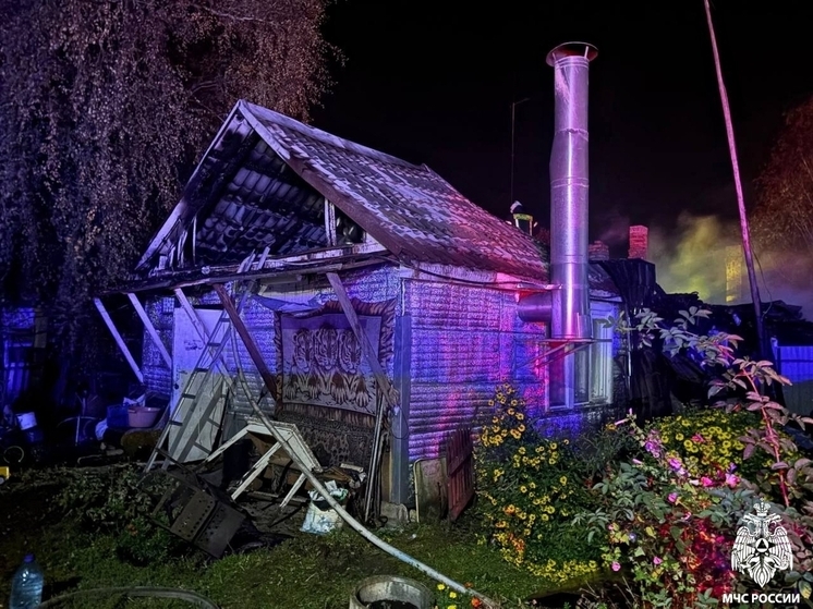 Под Смоленском в ночном пожаре погиб мужчина