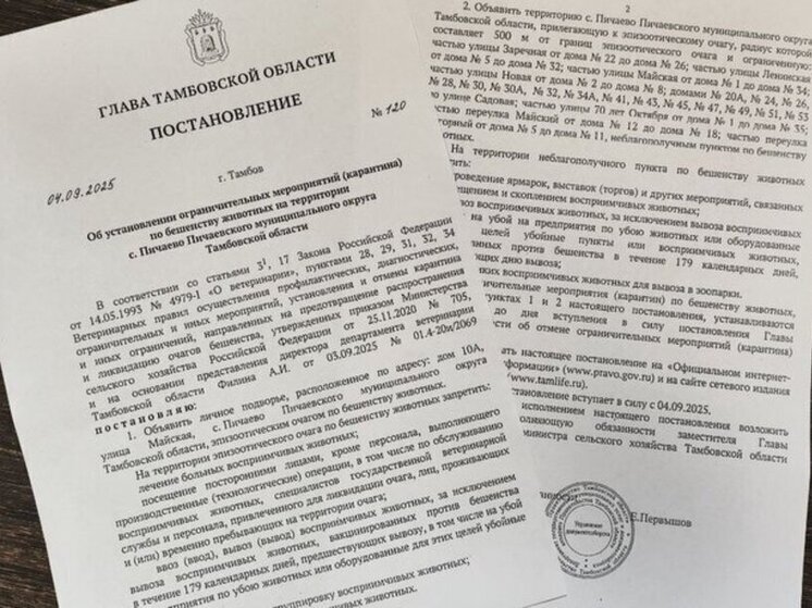 Бешенство в Пичаеве: в селе объявлен карантин