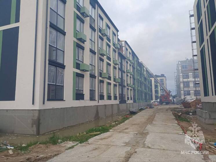 Калининградские спасатели локализовали пожар в Зеленоградском муниципалитете