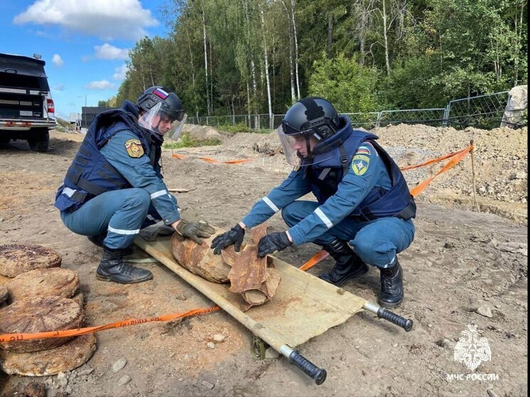 В Тосненском районе обезвредили авиабомбу в 20 метрах от железнодорожной дороги