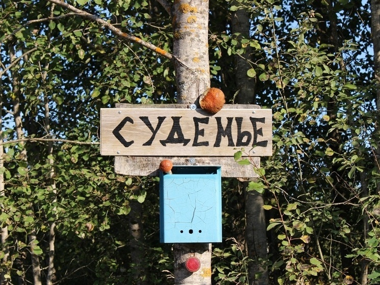 Дорогу к деревне Судемье в Волховском районе отремонтировали на две трети