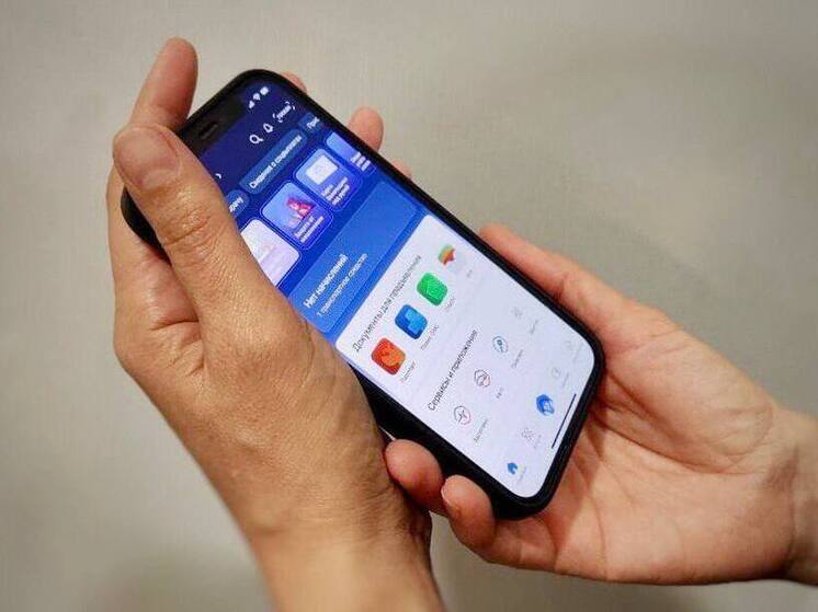 Псковская область станет пилотным регионом для доступа к социально значимым ресурсам при ограничении мобильного интернета