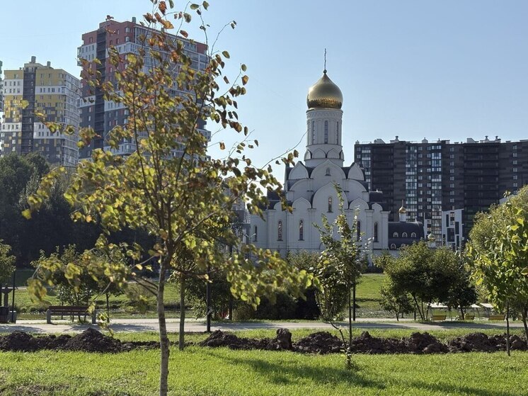 В парке «Оккервиль» начали высаживать крупномеры высотой не менее двух метров, сообщил телеграм-канал администрации Заневского поселения. В рекреационной зоне посадят 564 дерева: яблони, черемухи, дубы, ели, клены. Кроме того, в парке посадят 5 772 кустарника. Это сирень, лещина, кизильник, дерен, арония черноплодная, жимолость, ива и другие.