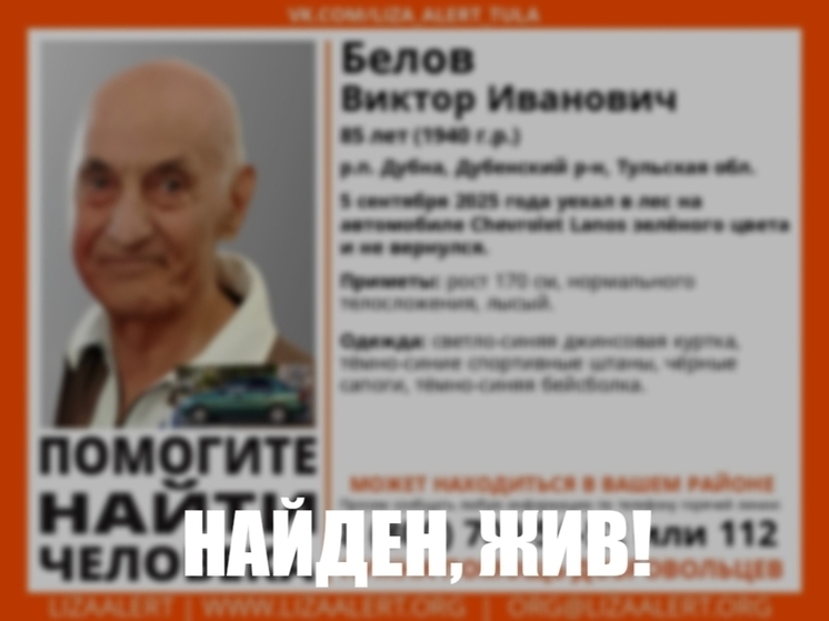 В Тульской области нашли пенсионера, уехавшего в лес на иномарке и пропавшего