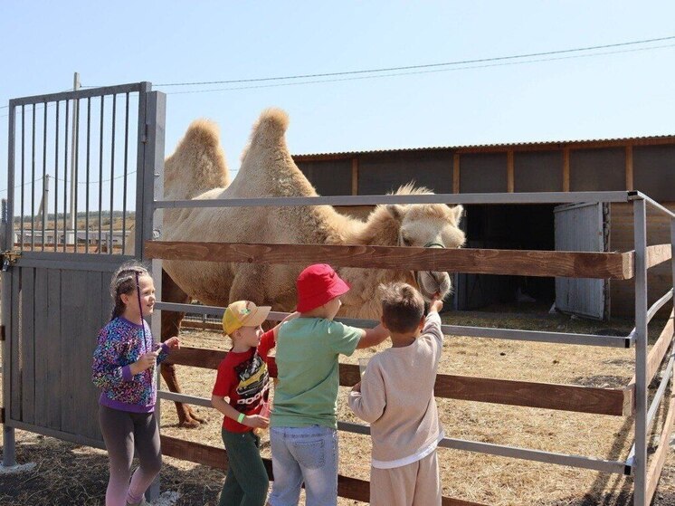 В Предгорном округе Ставрополья открылся парк семейного отдыха