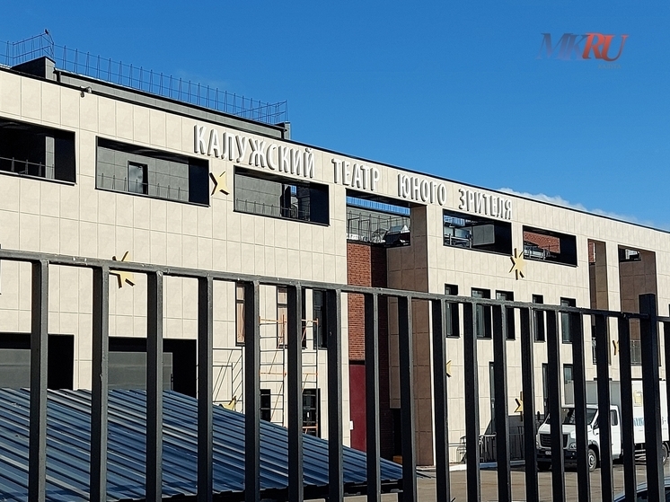 Калужане смогут вернуть деньги за билеты в ТЮЗ
