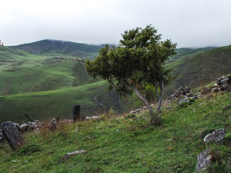 В Ингушетии выявили 146 ранее неучтённых исторических памятников