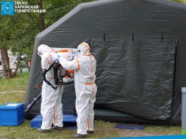 В калужской Тимирязевке побороли угрозу возникновения высокопатогенного гриппа птиц