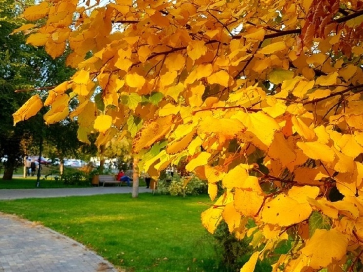 Чего нельзя делать в день Тита Листопадника, 7 сентября 2025 года