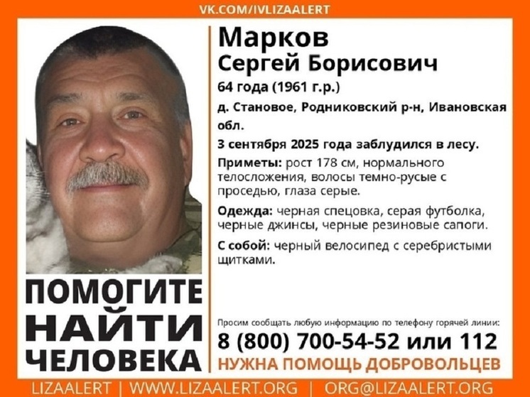 В Ивановской области обнаружено тело пропавшего грибника
