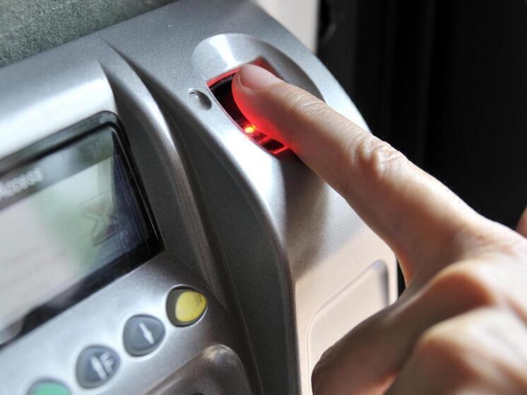 В России назвали одну из самых распространенных угроз в Интернете