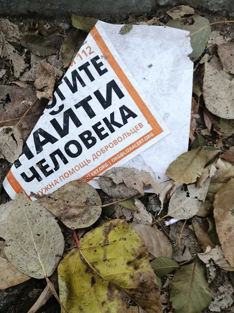 В Бурятии в "ЛизаАлерт" подвели итоги летнего сезона поисков: нашли более сотни человек
