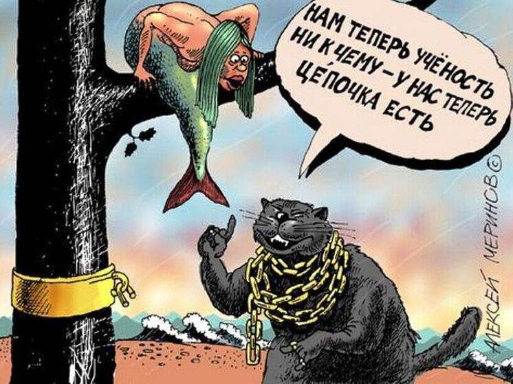 10 анекдотов про кошек и котов