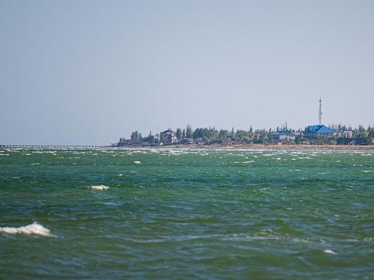 В Херсонской области сегодня погода ожидается без осадков и +28 градусов