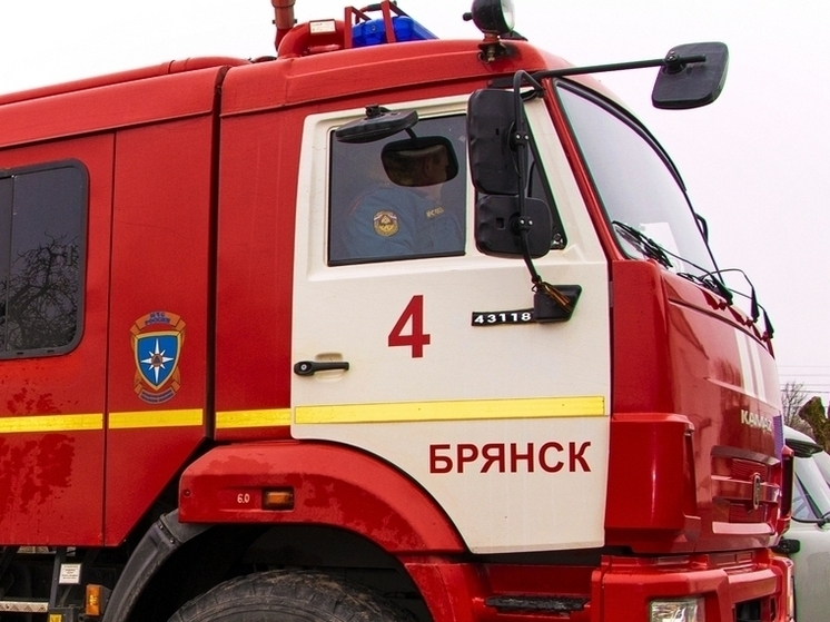В Курской области за сутки потушили восемь пожаров