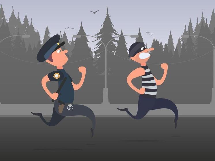 В Петрозаводске продолжаются поиски мужчины, который уклонился от дорожной полиции